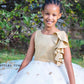 Gold Princess Tutu Dress